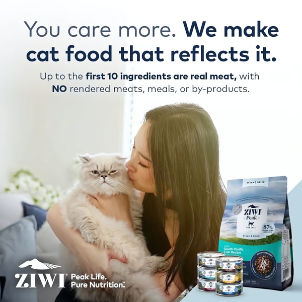 A high-quality 1:1 image featuring a pet owner showing affection to their cat next to premium cat food products, highlighting ingredient purity.